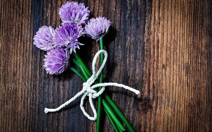 chives, flowers, chive flowers
