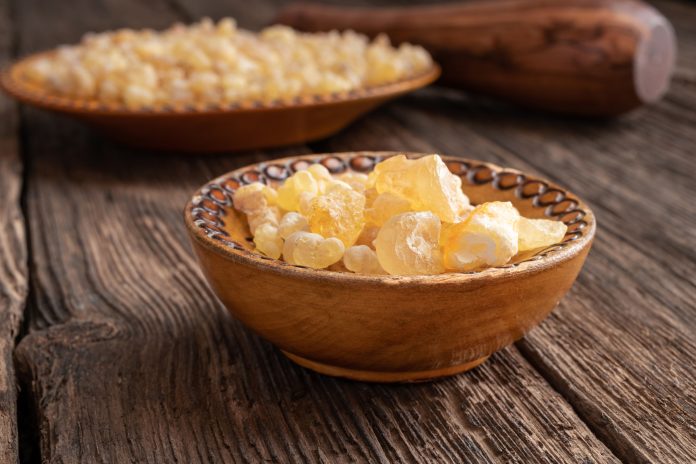Frankincense resin crystals on a rustic background