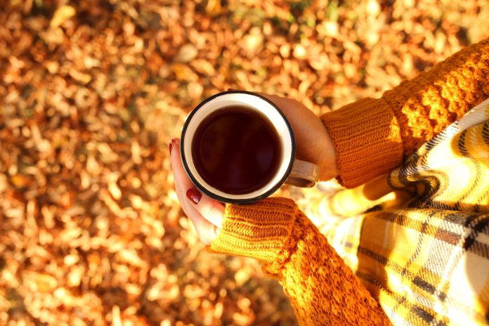Autumn tea. Autumn mood. Mug of tea in female hands on a brown foliage blurred background. Autumn season