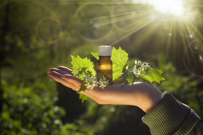 Fresh herbs - Natural remedies - Bach flower remedy.