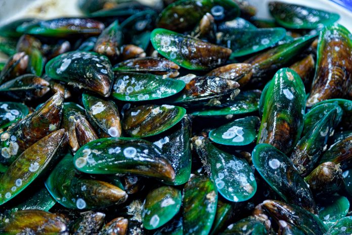 Green-lipped Mussels on sale in the traditional Street Fresh Market in Bangkok - Thailand