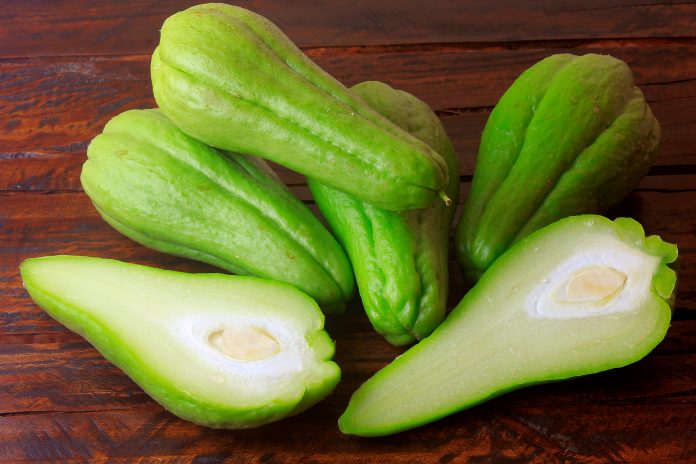 group of raw, fresh and organic chayote, whole and sliced on rustic wooden table