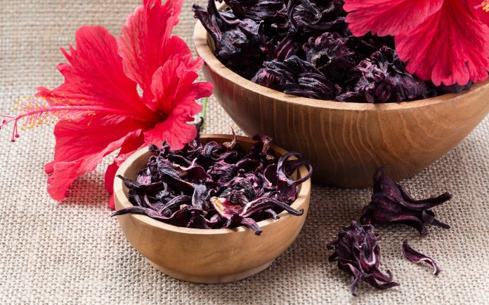 Hibiscus (Roselle, karkade) dry flowers in wooden bowls on burlap background close-up. Healthy organic vitamin herbal tea.