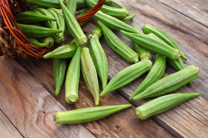 Lady Fingers or Okra over wooden table background