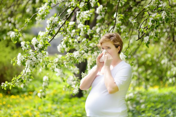 Schwangere junge Frau niest und wischt sich beim Spaziergang im Frühlingspark die Nase mit einer Serviette ab. Grippesaison, Schnupfen. Allergische Menschen. Kranke Person.