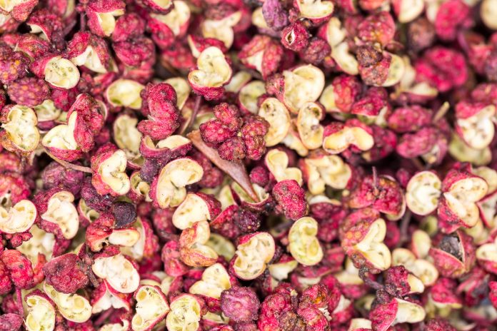 sichuan pepper close-up, chinese traditional food condiments, prickly ash peel is the raw material of essence and spice.
