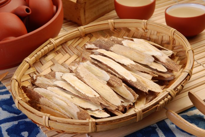 Traditionelle Chinesische Medizin - Astragalus-Wurzel (Astragalus membranaceus)