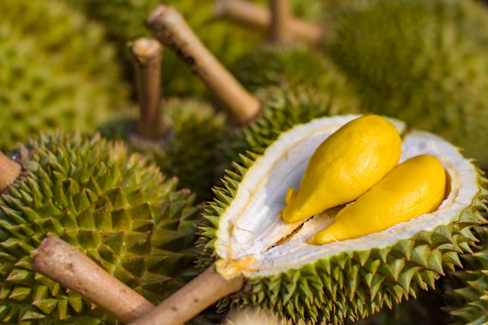 Rey de las frutas en Thaialnd, fondo de durianes