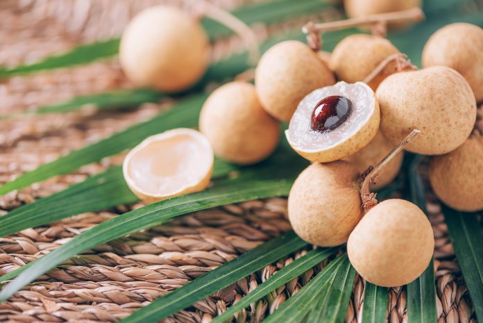 Longan fruits over palm leaves on rattan background. Copy space. Dimocarpus longan. Bunch of exotic longans. Tropical food concept