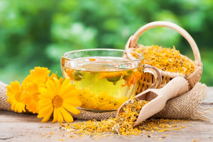 Cup of healthy marigold tea and calendula flowers.