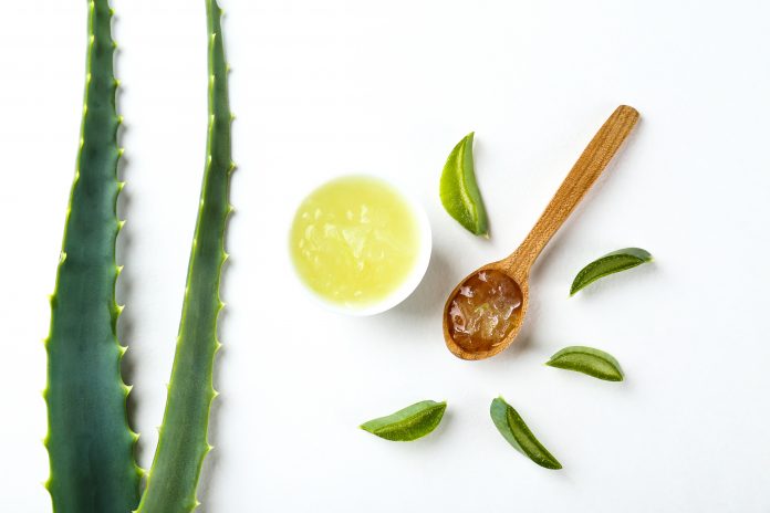 Minimalistic composition of sliced aloe vera leaves, for making moisturizing skincare gel. Organic home made cosmetics concept. Close up, copy space, top view, flat lay.