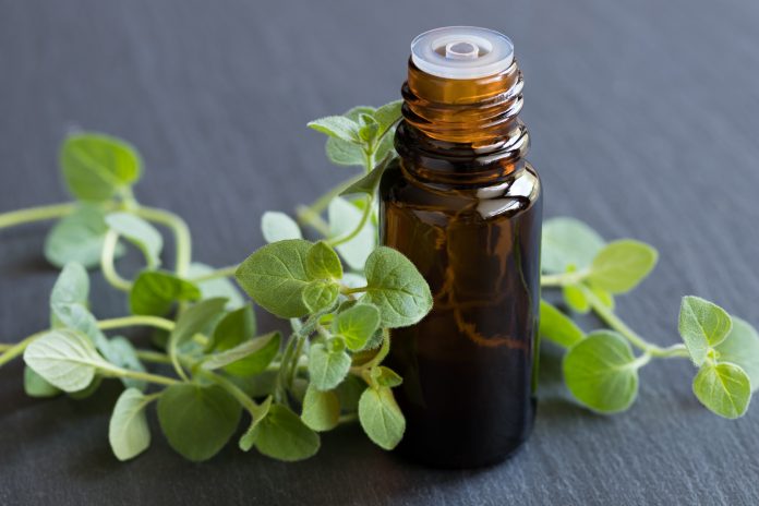 A bottle of oregano essential oil with fresh oregano leaves on a dark background