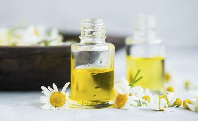 Frascos de aceite esencial de manzanilla con flores de manzanilla, ingredientes para tratamientos de belleza y aromaterapia, hierbas botánicas naturales, medicina alternativa