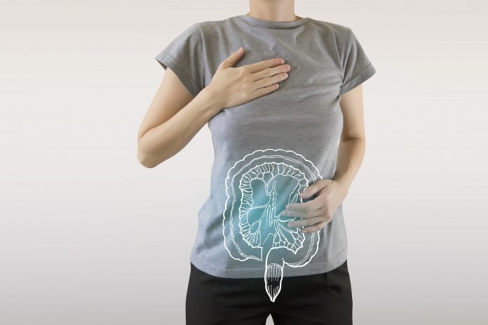Digitales Komposit aus blau hervorgehobenem, gesundem Darm der Frau / Konzept Gesundheitsfürsorge & Medizin