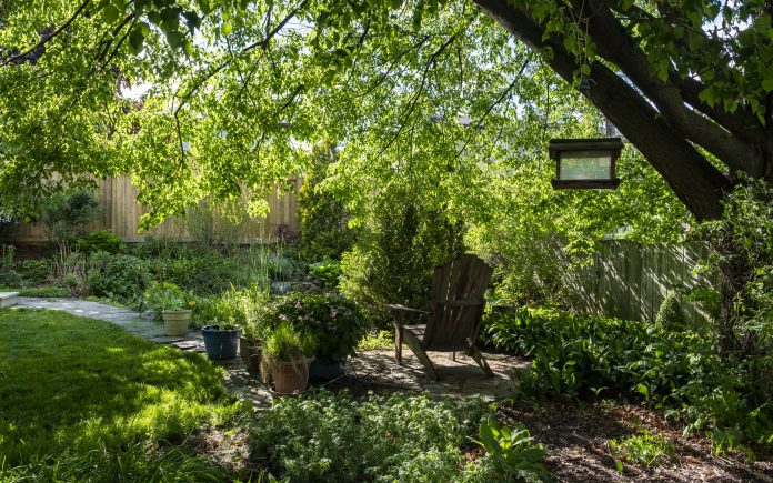 Eine Hinterhof-Oase mit Pflanzen, Bäumen und einem Teich