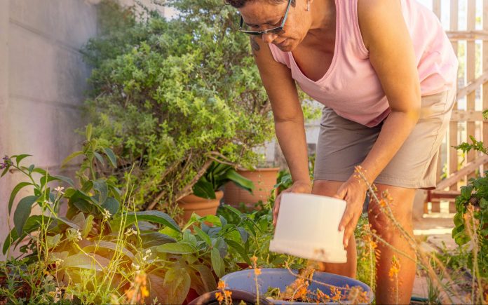 Eine Frau leert den Eimer mit den Gemüseresten aus der Küche in einen größeren Komposteimer im Kräutergarten ihres Hauses.