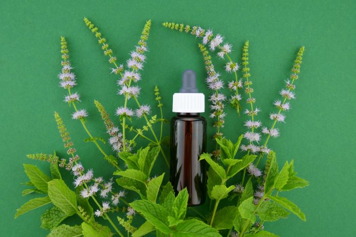 Peppermint oil. Pure Peppermint Essential Oil in a glass brown bottle and blooming sprigs of mint on a dark green background.Organic Pure Natural Oils