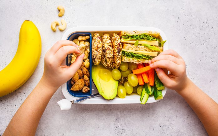 Lancheira escolar saudável com sanduíche, biscoitos, nozes, frutas e abacate em um fundo branco.