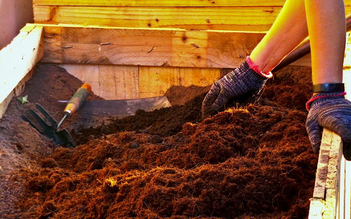 Un lit de jardin fait de palettes de bois est préparé pour la plantation. Un mélange de tourbe de cacao, de terre et de compost est mélangé par une main portant des gants gris et roses sales.