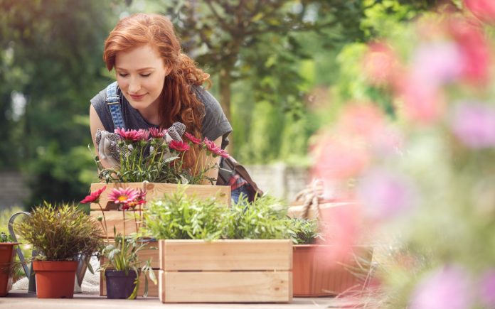 Red-haired girl smelling red flowers in wooden box while relaxing in the garden on a sunny day