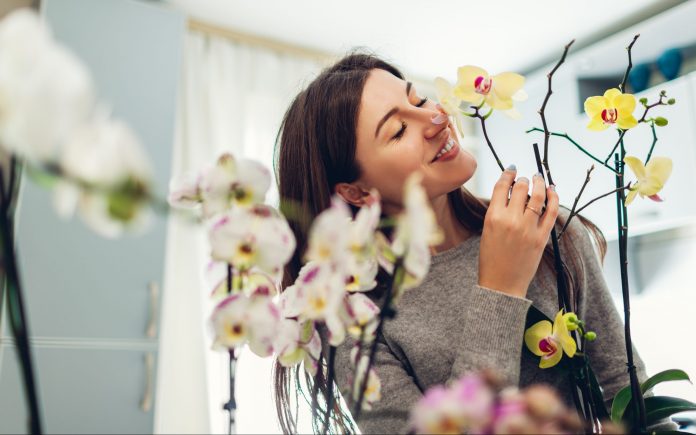 Woman smelling orchids on kitchen. Happy housewife taking care of home plants and flowers.