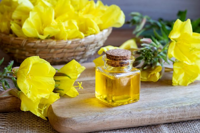 A bottle of evening primrose oil with fresh blooming evening primrose plant