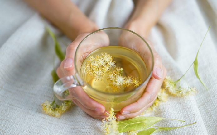 A cup of herbal tea (lime blossom/ linden tea) photographed on a cozy beige blanket with herbal flowers in the background.