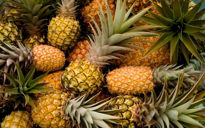 Čerstvé ananasy, celý snímek