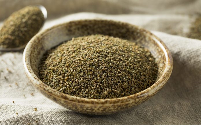 Healthy Dry Organic Celery Seeds in a Bowl