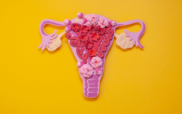 The women's reproductive system. The concept of endometriosis of the uterus. Beautiful art concept of gynecological diseases made of paper. Paper flowers.