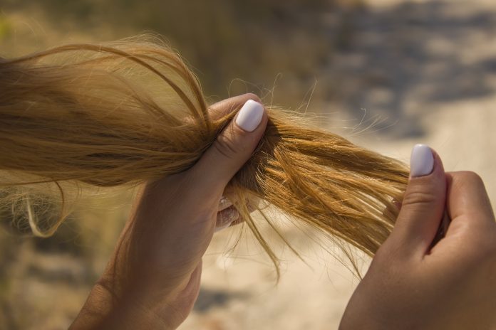 Dziewczyna trzymająca suche łamliwe włosy. Kruche zniszczone końcówki, wypadanie włosów.